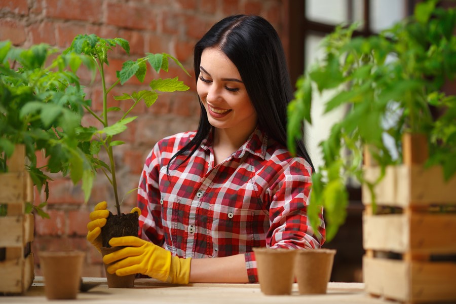 Crea tu jardín o decora tu espacio exterior gracias a la sección Jardinería de eAnuncios