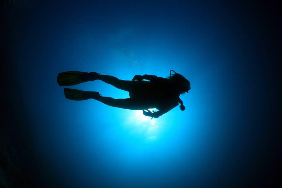 Cómo iniciarse en el fascinante mundo del buceo