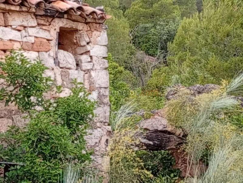 Venta  - Corbera dEbre, Tarragona
