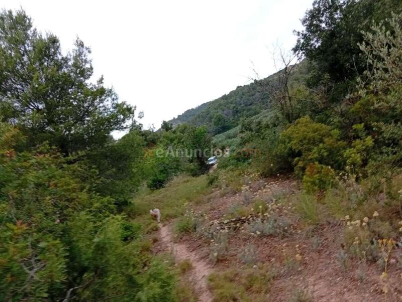 Venta  - Corbera dEbre, Tarragona