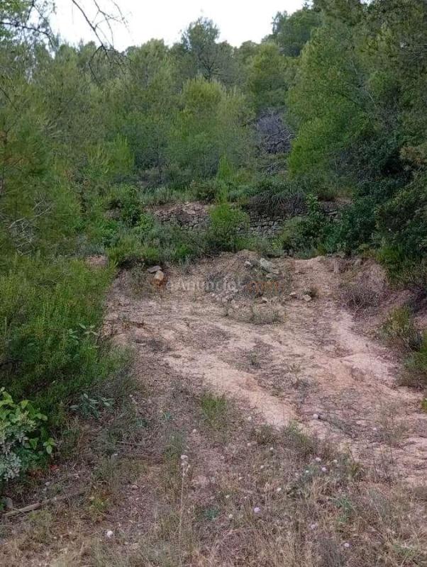Venta  - Corbera dEbre, Tarragona