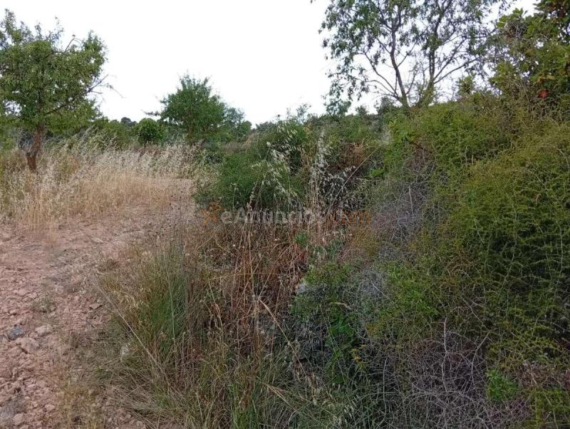 Venta  - Corbera dEbre, Tarragona