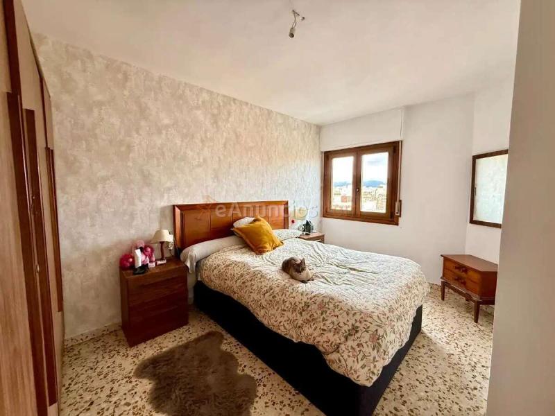 Venta  - Foners, Palma de Mallorca  Palma, Baleares (Illes Balears), Mallorca