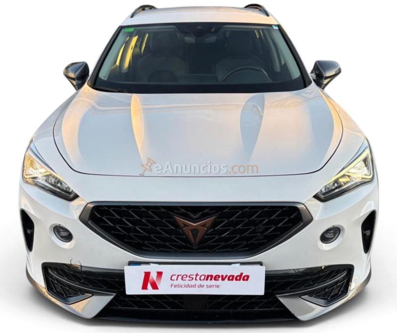 Cupra Formentor 1.5 TSI 110kW 150 CV 