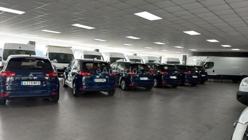 Citron C4 Picasso BlueHDi 120 S&S EAT6 Feel