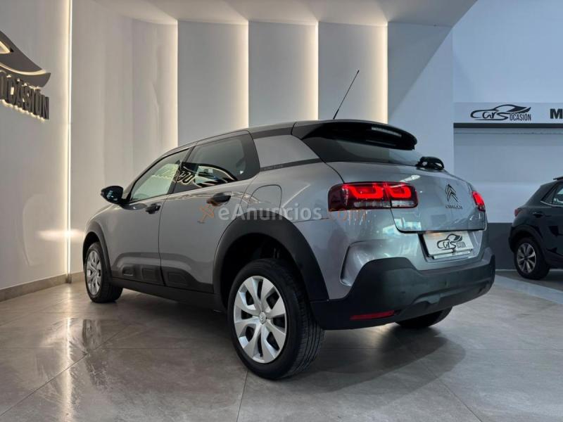 Citron C4 Cactus Feel
