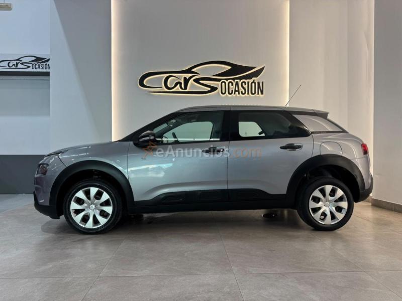 Citron C4 Cactus Feel