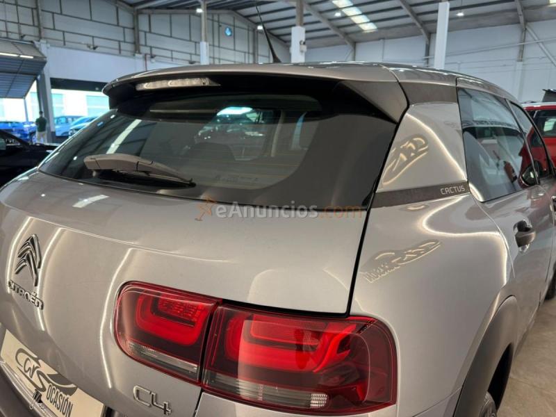 Citron C4 Cactus Feel