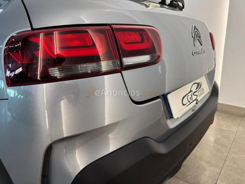 Citron C4 Cactus Feel