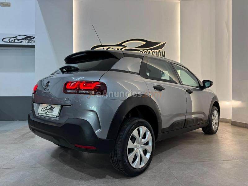 Citron C4 Cactus Feel