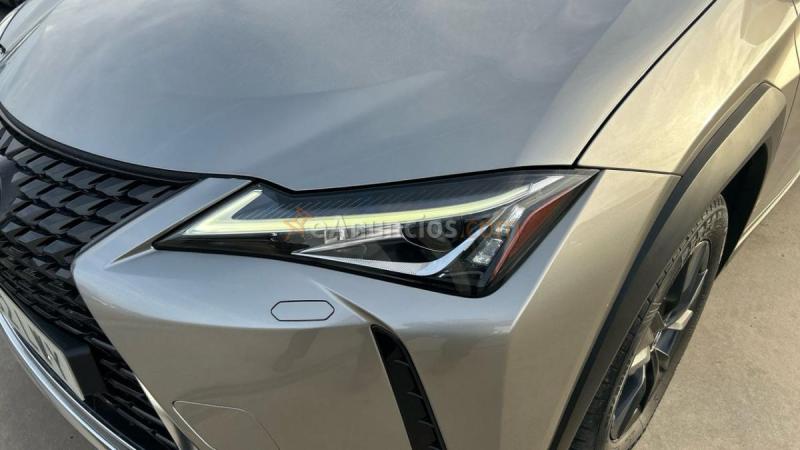 Lexus UX 2.0 250H BUSINESS AUTO 184 5P