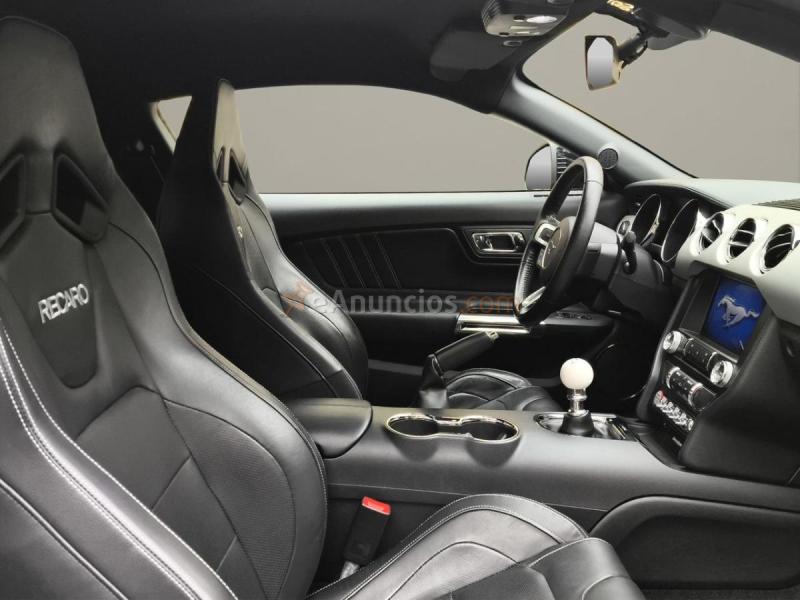 Ford Mustang 5.0 Ti-VCT V8 307kW  GT (Fastsb.) 