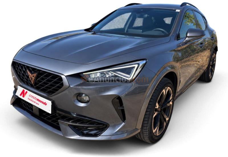 Cupra Formentor 1.5 TSI 110kW 150 CV DSG 