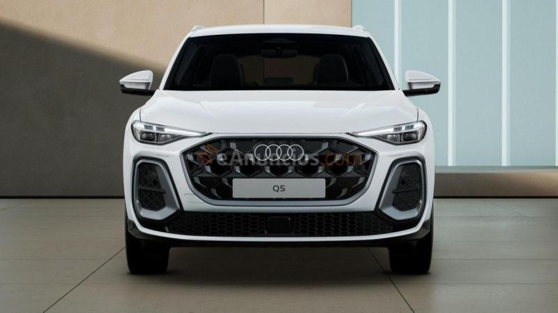 Audi Q5 S Line TDI quattro 150 kW (204 CV) S tronic