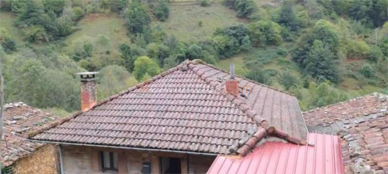 Venta Chalet independiente - Tineo, Asturias