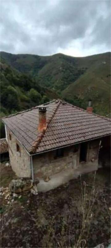 Venta Chalet independiente - Tineo, Asturias