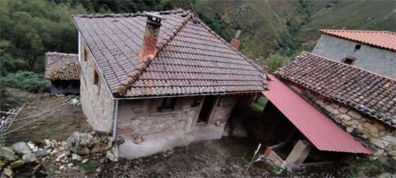 Venta Chalet independiente - Tineo, Asturias
