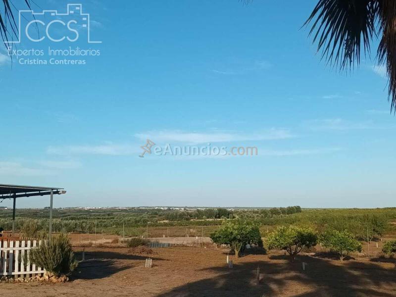 Venta de Finca en PROPIEDAD de 3.117 m2 de Terreno con 2 contenedores en Bollullos Par del Condado(Huelva)