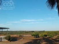 Venta de Finca en PROPIEDAD de 3.117 m2 de Terreno con 2 contenedores en Bollullos Par del Condado(Huelva)