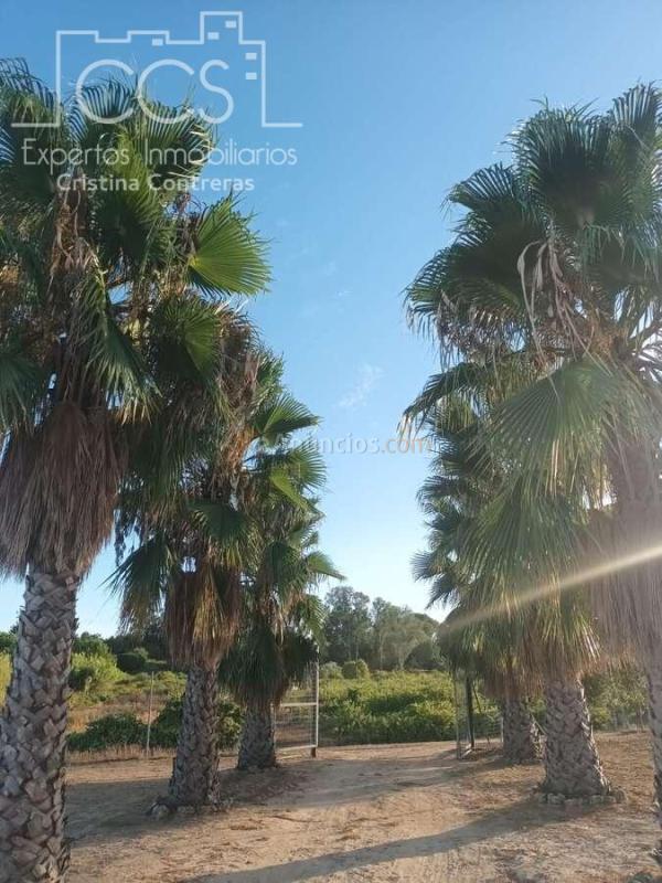 Venta de Finca en PROPIEDAD de 3.117 m2 de Terreno con 2 contenedores en Bollullos Par del Condado(Huelva)
