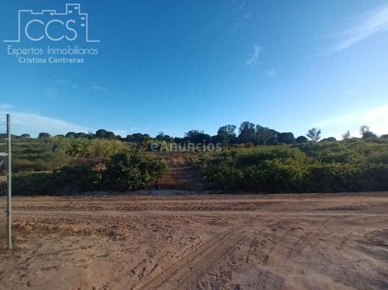 Venta de Finca en PROPIEDAD de 3.117 m2 de Terreno con 2 contenedores en Bollullos Par del Condado(Huelva)