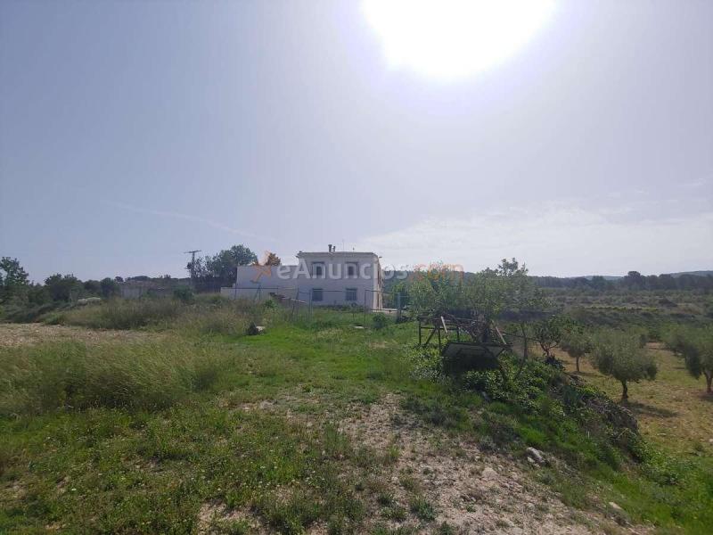 Venta  - Alicante, AlicanteAlacant