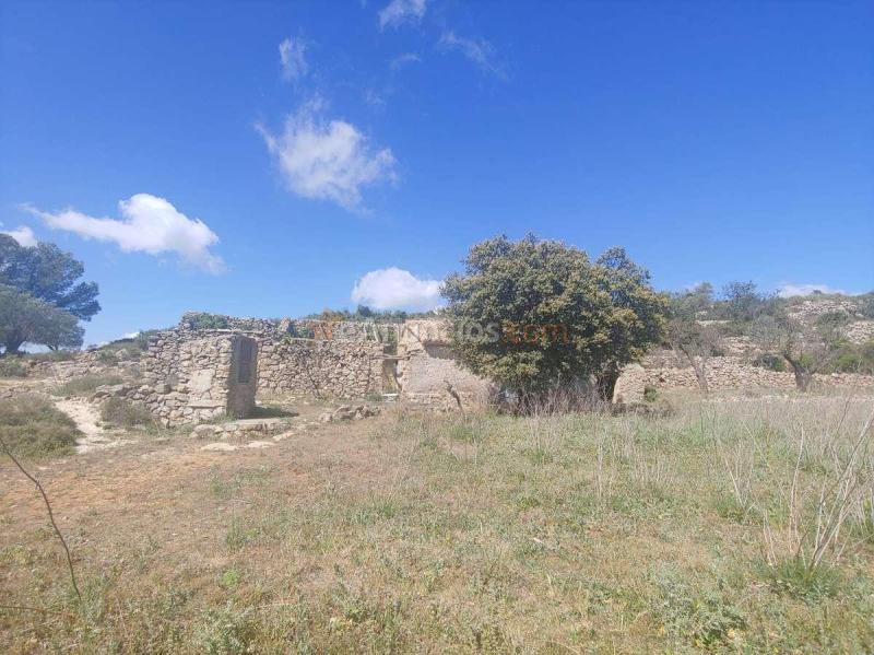 Venta  - Llíber, Alicante