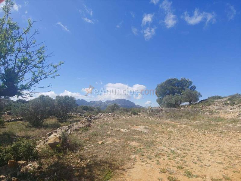 Venta  - Llíber, Alicante
