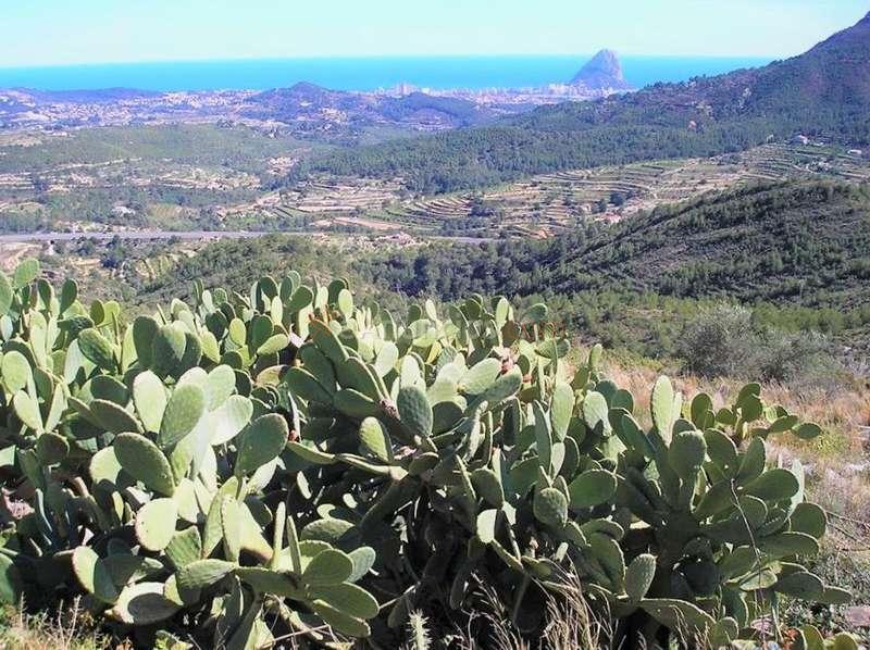Casa de campo para reformar con vistas