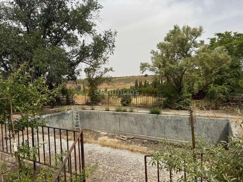 Casa de campo con olivar junto a valdepeñas