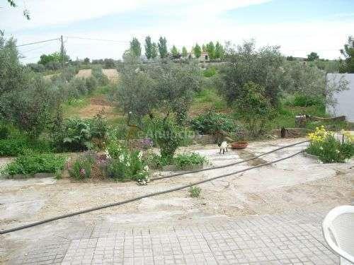 Venta  - Zona Rural, Valdepeñas, Ciudad Real