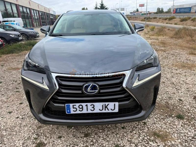 Lexus NX 300h Executive 4WD