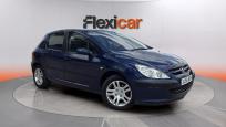 Peugeot 307 2.0 HDi 110 XR 