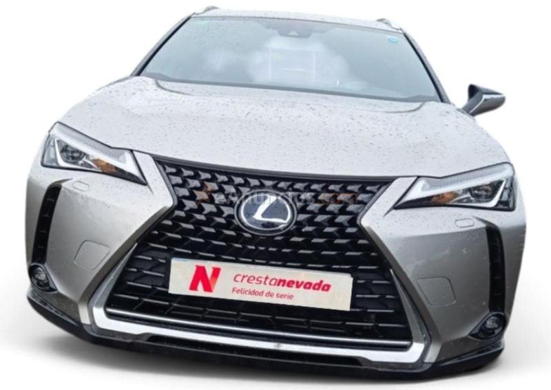 Lexus UX 2.0 250h Business 