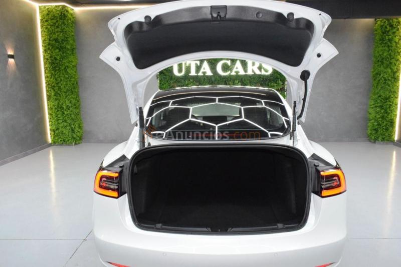 Tesla Model 3 GRAN AUTONOMIA 4WD